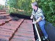 The Hedgehog People - Gutter Protection - archival photograph