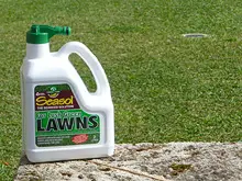 Seasol 'For Lush Green Lawns' - archival photograph