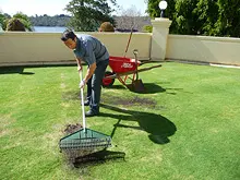 Seasol 'For Lush Green Lawns' - archival photograph