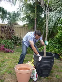 Seasol 'Re-potting tips with Seasol and Powerfeed' - archival photograph