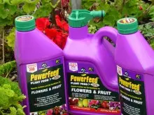 Seasol Powerfeed for Flowers & Fruit - archival photograph