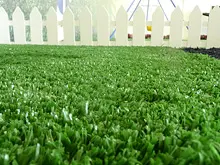 Green Planet Grass - archival photograph