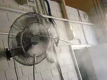 CoolMist Systems Australia - archival photograph