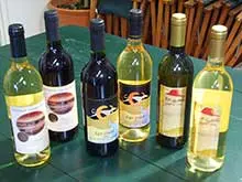 Mid West Wineries - archival photograph