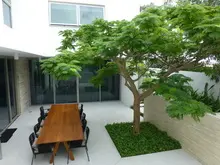 Tim Davies Landscaping Part 1 - archival photograph