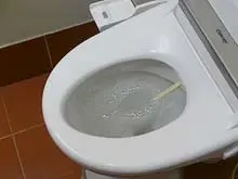 The Bidet Shop - archival photograph
