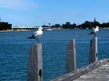 Mandurah Ocean Marina Chalets - archival photograph