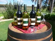 Chapman Valley Wines 'Vineyard for Sale' - archival photograph