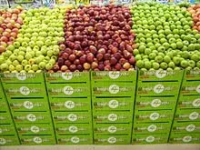 Action Supermarkets - archival photograph