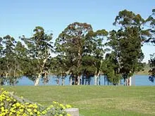 Manjimup District Estate Agency - archival photograph