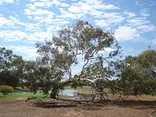 Riverside Sanctuary - archival photograph