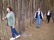 The Maze - archival photograph