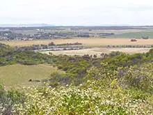 "The Dunes" on Greenough Bay - archival photograph