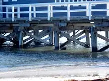 Shire of Busselton Busselton Jetty - archival photograph