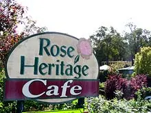 Melville Festival of Roses 'Melville Nursery November 14th & 15th' - archival photograph