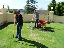 Seasol 'For Lush Green Lawns' - archival photograph
