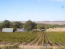 Mid West Wineries - archival photograph