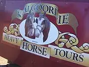 Kalgoorlie Heavy Horse Tours - archival photograph