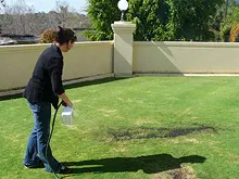 Seasol 'For Lush Green Lawns' - archival photograph