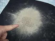 Mitex Mattress Hygenics - archival photograph