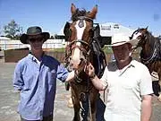 Kalgoorlie Heavy Horse Tours - archival photograph