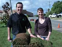 Westland Turf - Palmetto Soft Leaf Buffalo Turf - archival photograph
