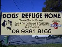 Dogs Refuge - archival photograph
