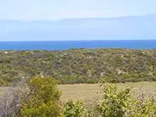 "The Dunes" on Greenough Bay - archival photograph