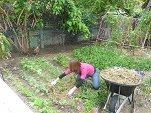 Seasol Super Soil Wetter and Conditioner - archival photograph