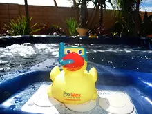 Poolwerx 'The Healthy Pool People' - archival photograph