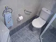 Alinta - Veejay's Bathroom Makeover - archival photograph