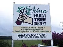 Yetna Farm Tree Nursery - archival photograph