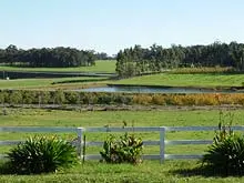Manjimup District Estate Agency - archival photograph