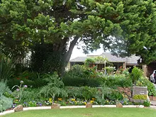 Baileys Fertiliser's - archival photograph