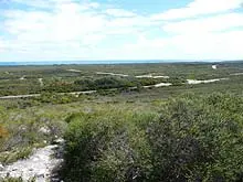 Ardross Group - archival photograph