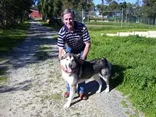 Dogs Refuge - archival photograph