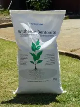 BENTONITE CLAY
