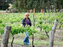 Wignall's Wines - archival photograph