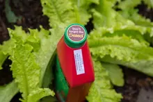 SEASOL 'PowerFeed for Vegies' - archival photograph