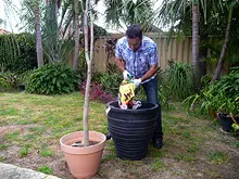 Seasol 'Re-potting tips with Seasol and Powerfeed' - archival photograph