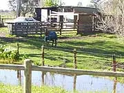 Caversham Grange Estate - archival photograph