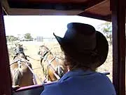 Kalgoorlie Heavy Horse Tours - archival photograph