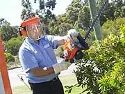 STIHL Specialist Dealers - archival photograph