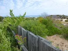 Northshore Estate - archival photograph