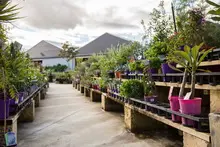 Drovers Garden & Lifestyle Centre - archival photograph